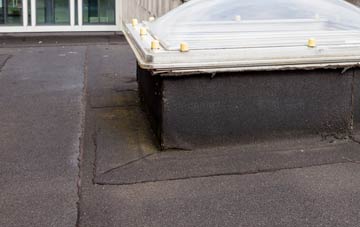 disadvantages of Bell Common flat roofs